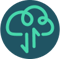Api