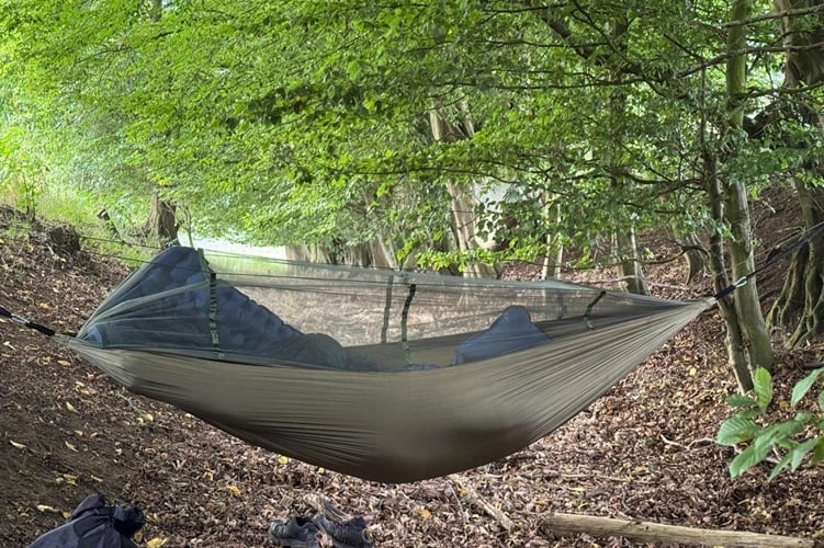 Joshua enjoying the wilderness