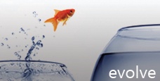 Application Development