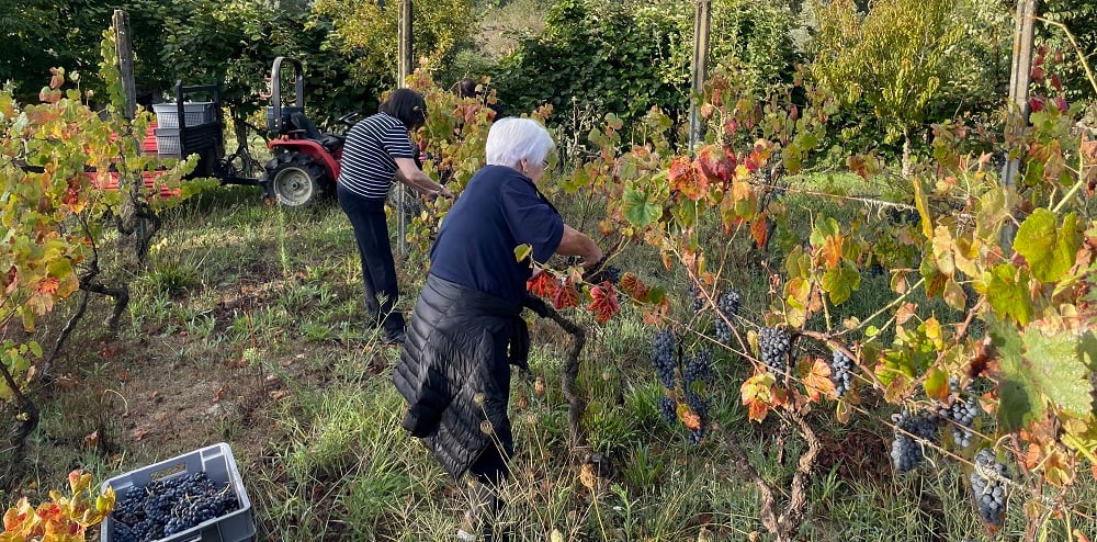  Family endeavor. In the picture both our mom’s help out with harvesting_NAgarriansAtPlay