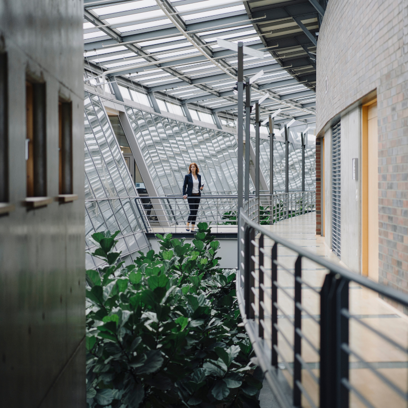 Cloud-Strategie und -Architektur