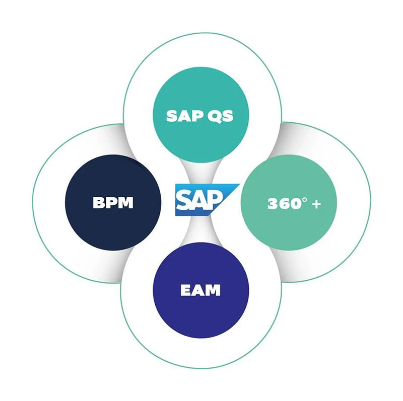 360-grad-sap-Ansatz