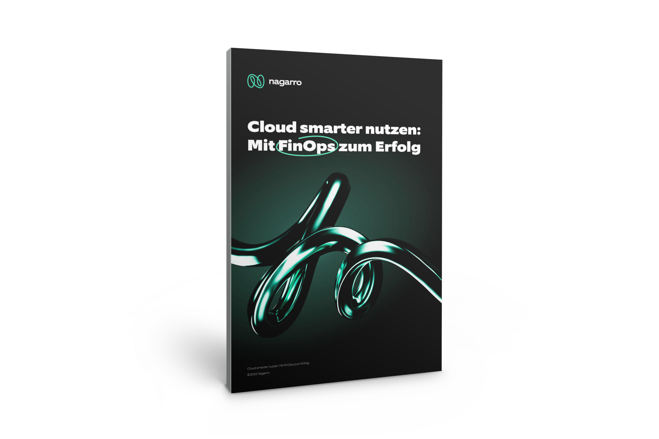 FinOps_Mockup02