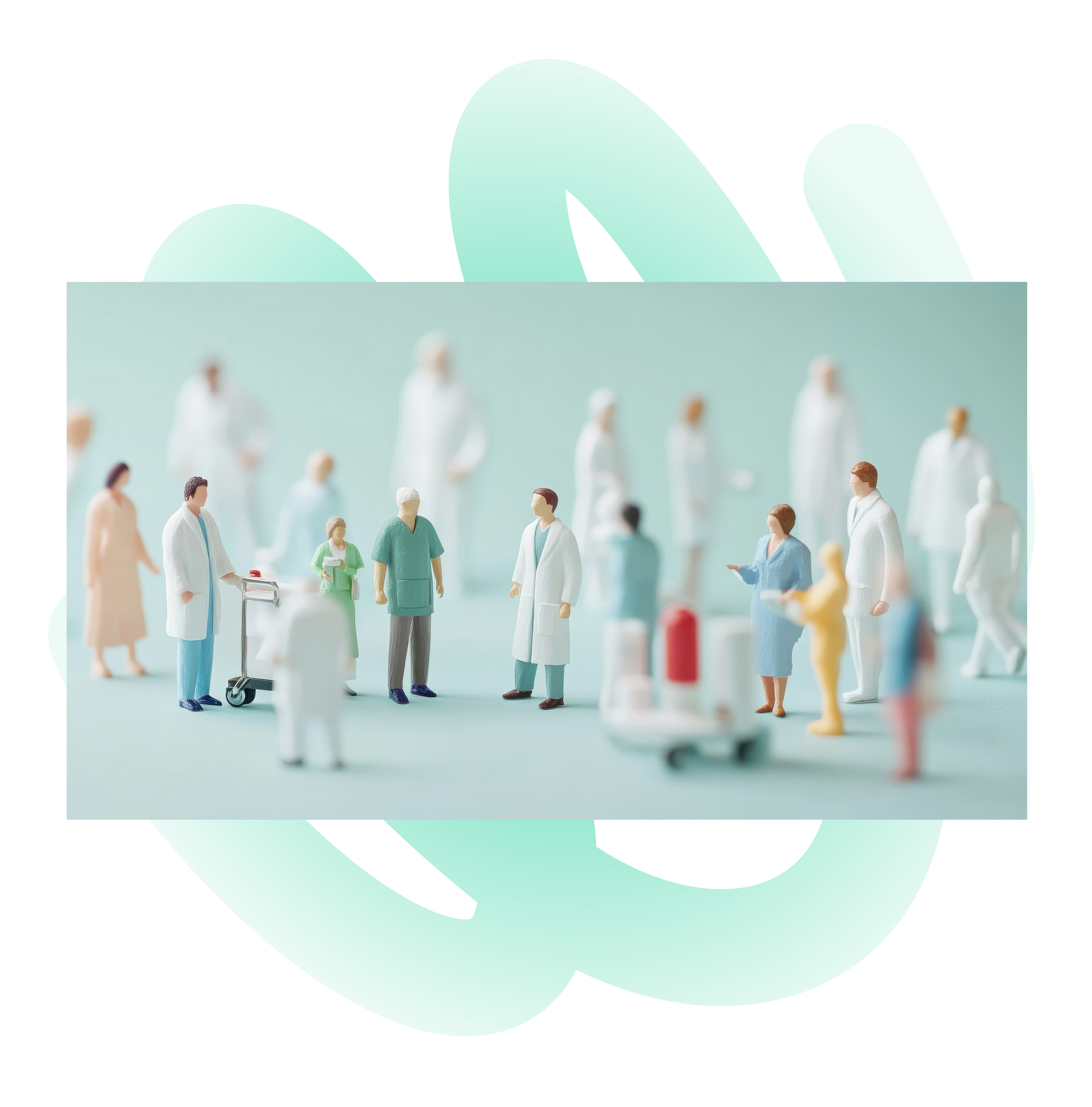Healthcare Stakeholders