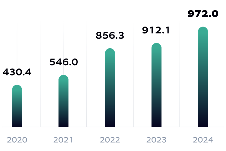 Financials for FY 2024_Revenue
