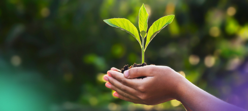 Responsible-business-and-sustainability-leadership
