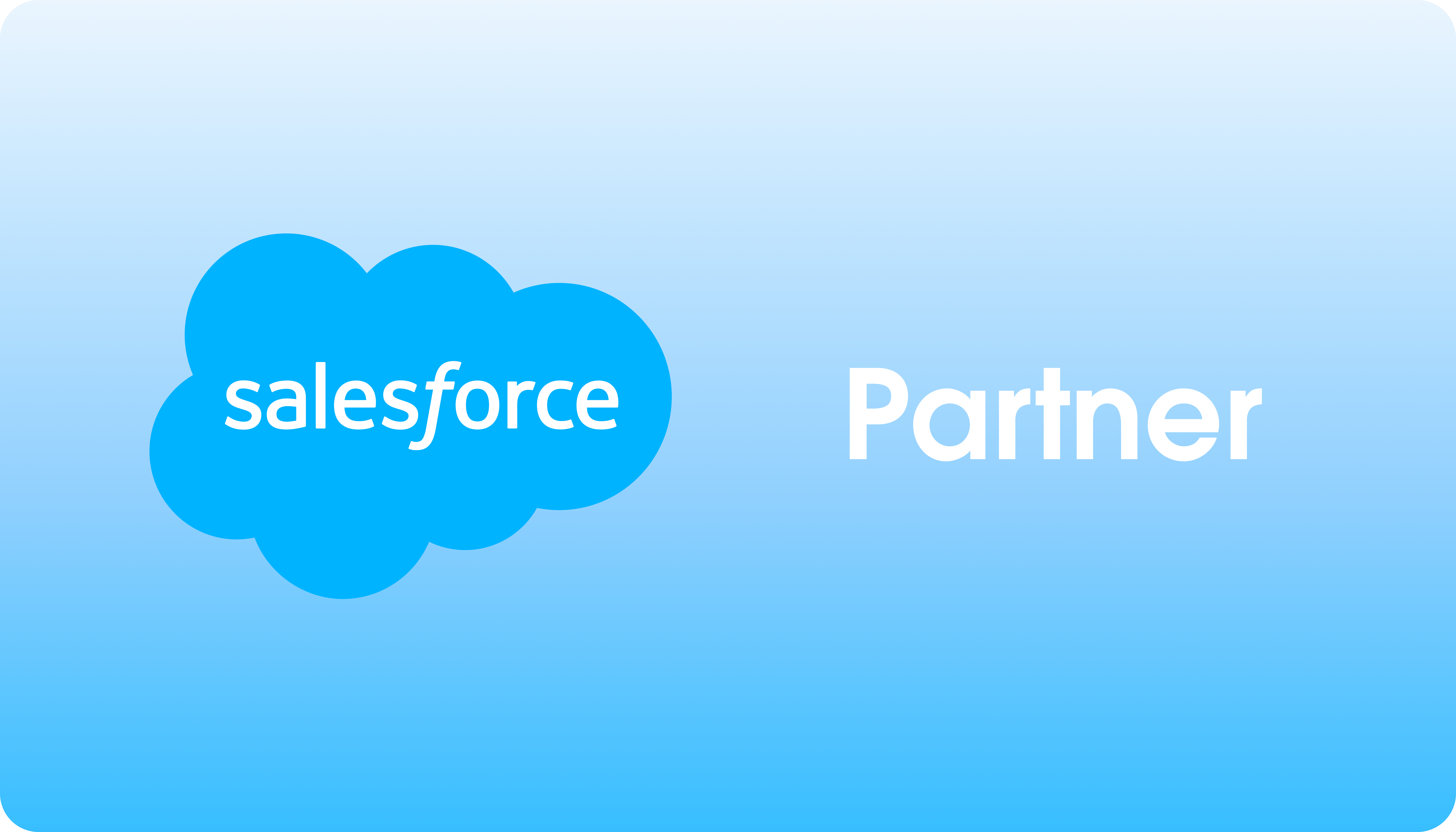 Salesforce Partner Badge_Horizontal-2