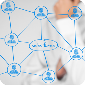 Salesforce Users Image