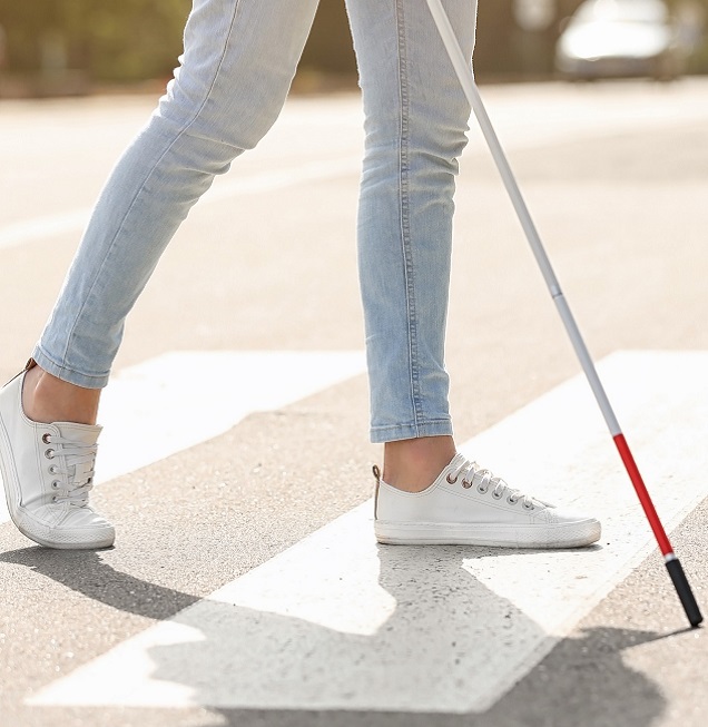 digital assistants like smart glasses as an orientation aid for the visually disabled