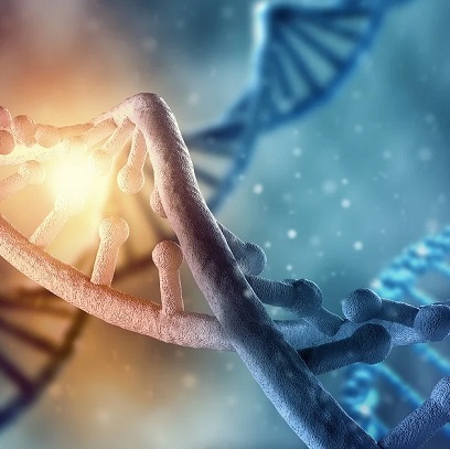 Chromosome DNA and glowing light